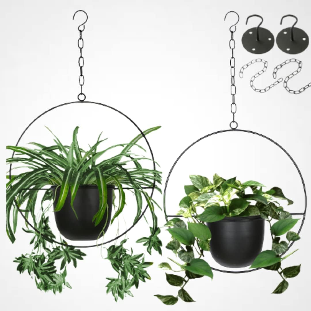 Metal Hanging Planter with Plant Pot