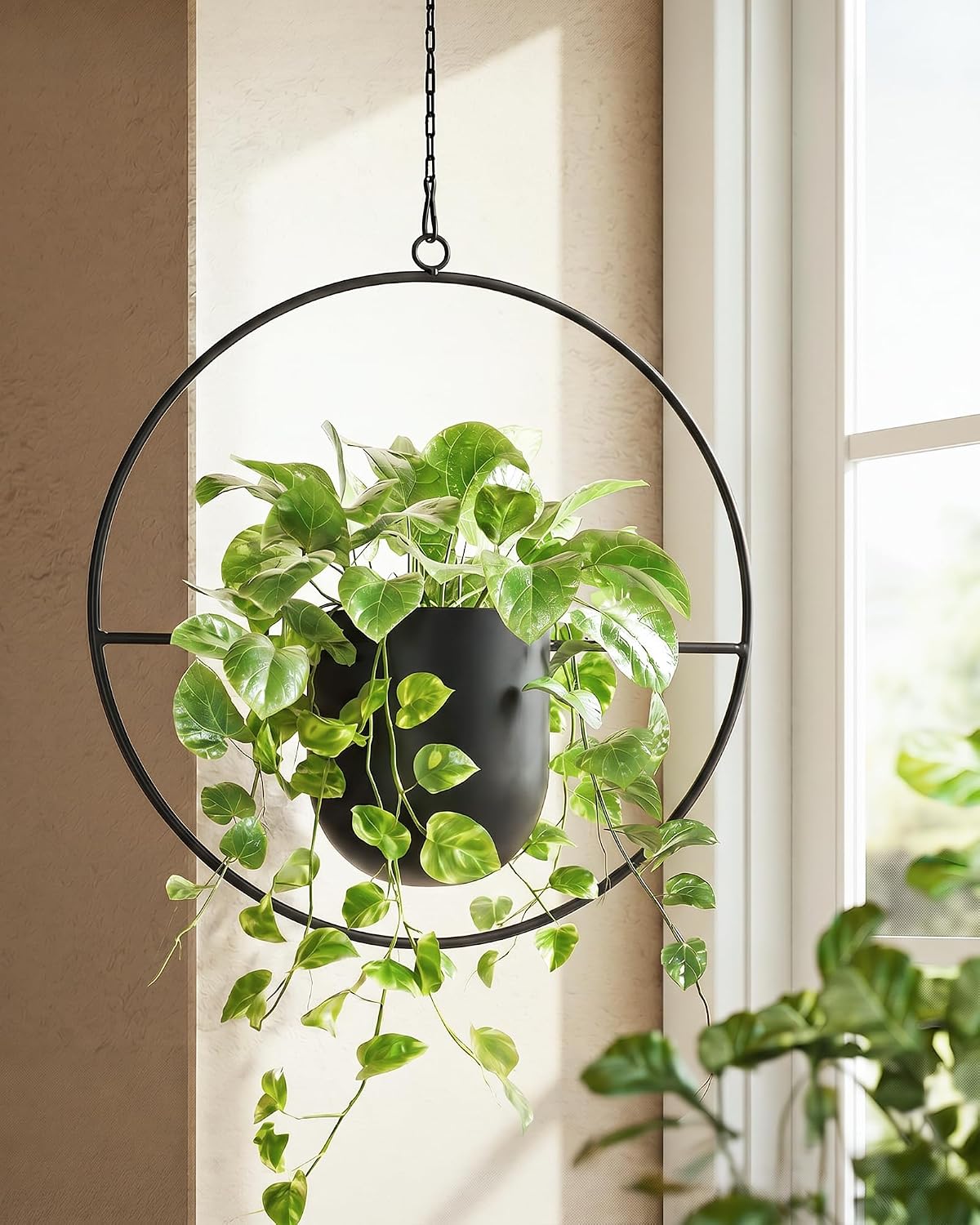 Modern Metal Hanging Plant Baskets