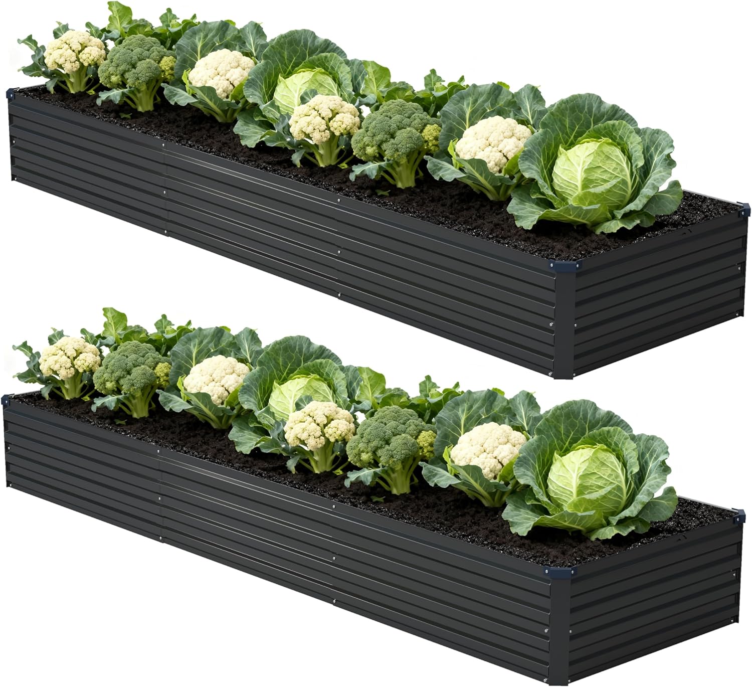 Galvanized Metal Raised Garden Bed