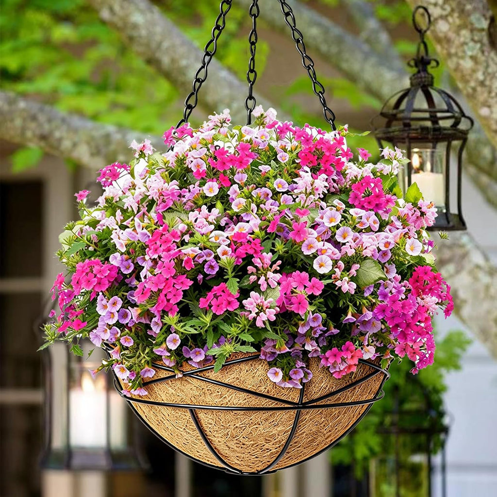 Metal Hanging Baskets with Coco Liner