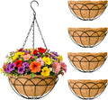 Metal Hanging Baskets with Coco Liners