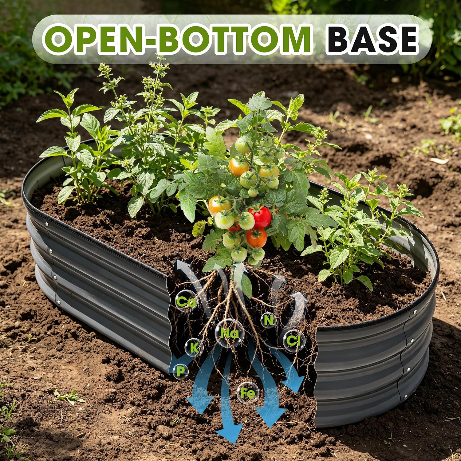 Oval Galvanized Metal Garden Bed