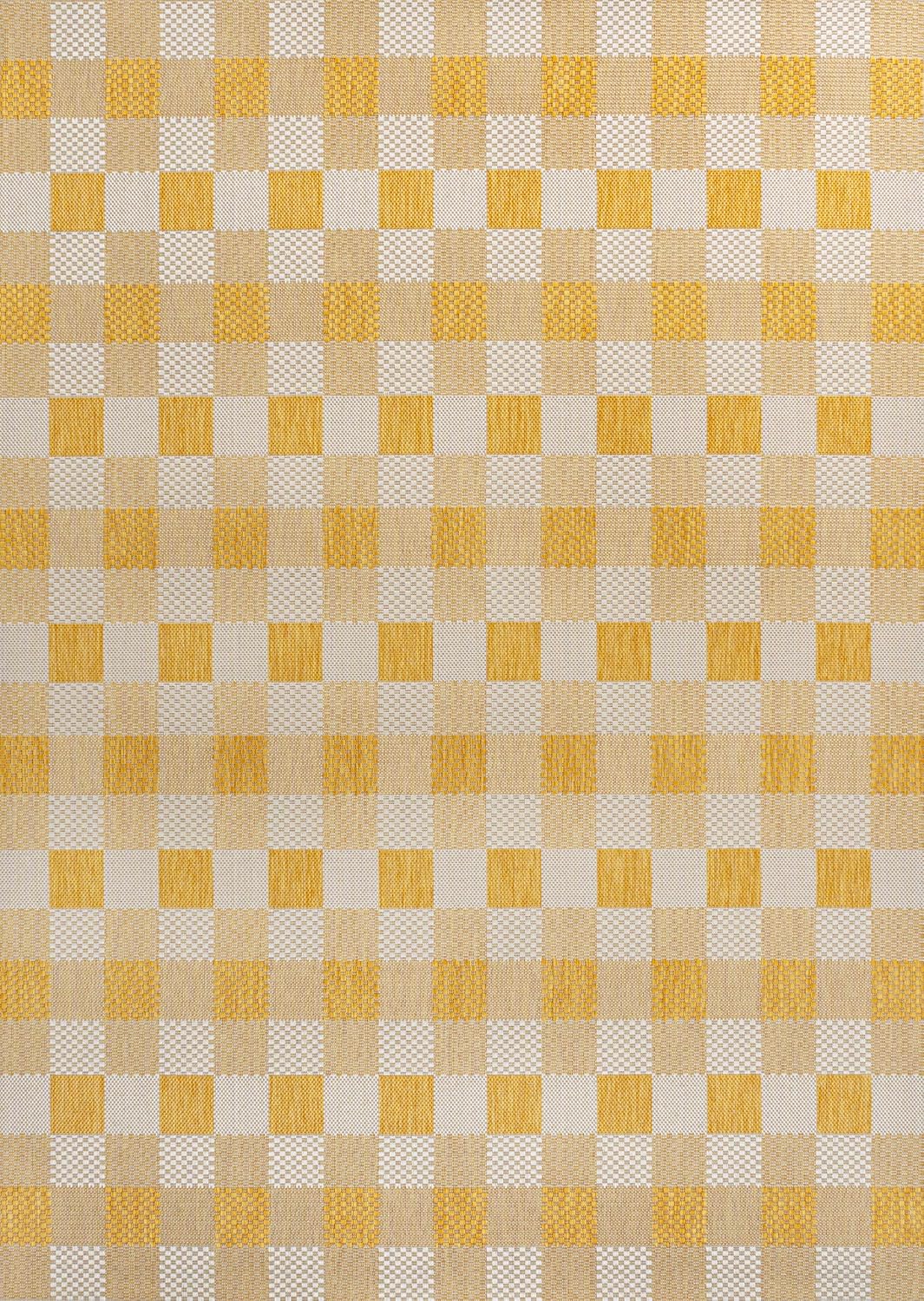 Geometric Gingham Indoor Outdoor Area Rug